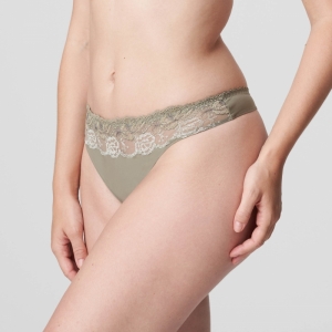 DELIGHT BTQ botanique