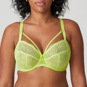 SOPHORA LIU Lime crush