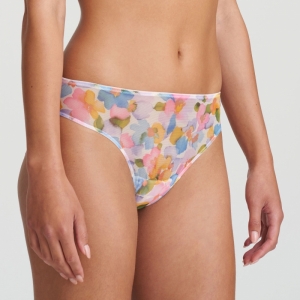 TARO BLO bloom