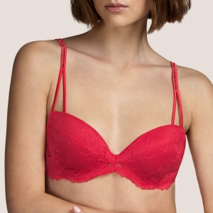 GAGA SRE Rood