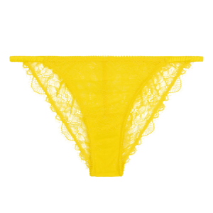 Wild Rosie yellow