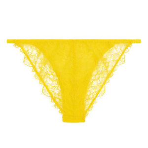 Wild Rosie yellow